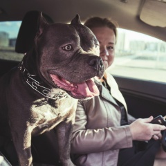 Галина Антонова, 29.08, Санкт-Петербург