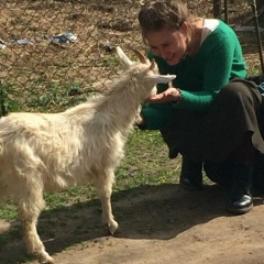 Заповедный Край, 17.02.1986, Санкт-Петербург