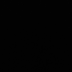 Князь Балаев, 12.09.1991, Краснодар