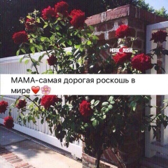 Азиза Кадырова, 17.06.1993, Medina