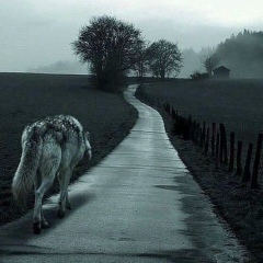 Аслан Кайтмесов, 03.07, Москва