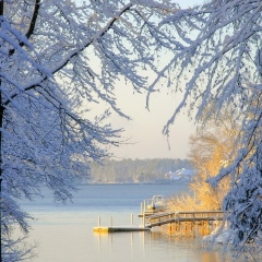 Justin Bieber, 23.01, New York