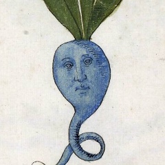 Алексей Сериков, 11.12.1989, Тбилиси