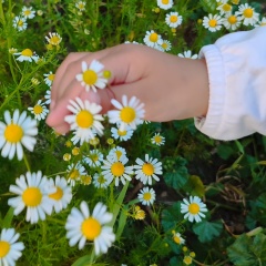 Sanyura Mashanlo, 01.01.1989