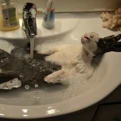 Иван Иванов, 02.10.1970, Москва