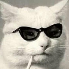 Виктор Кравец, 13.01.1992, Петах Тиква