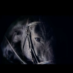 Ббб Зззз, 02.12.1992, Астана