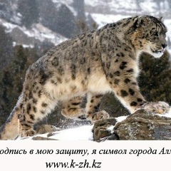 Владимир Таланов, 18.01, Алматы