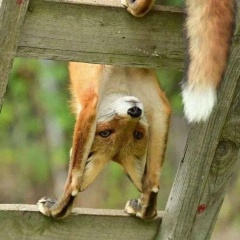 Катрина Малинка, 23.10, Москва