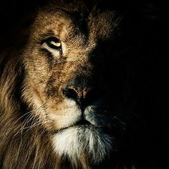 Джавид Ализаде, 29.07, Челябинск