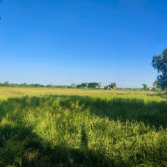 Ywar Moe Thae, 08.07.1982, Yangon