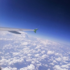 Павел Трофимов, Санкт-Петербург