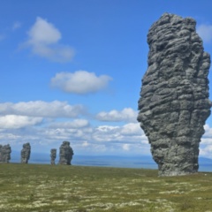 Сергей Толкачев