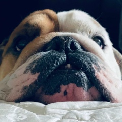 Евгений Тихонов, 07.04.1988, Курган