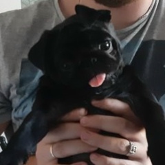 Александръ Новиков, 11.10, Гродно