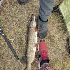 Николай Кирикчи, 05.11.1990, Караганда