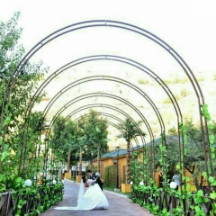 Yerzhan Zholdassov, 24.04, New York City