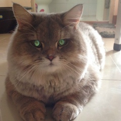 Лёша Кутарев, 16.12, Москва