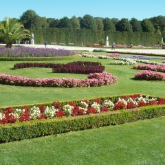 Света Грудина, Симферополь