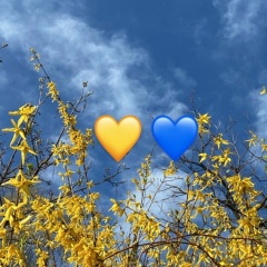 Виктория Либреску, 18.02.1981, Тель-Авив