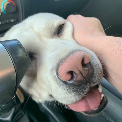 Владимир Рыженков, 25.11, Санкт-Петербург