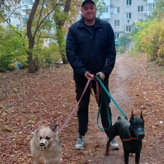 Никита Гордиенко, 03.07.1989, Саратов