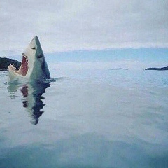 The Hope, 26.02.1991, Москва