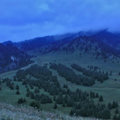 Сузанна Акчалова, 15.03, Алматы