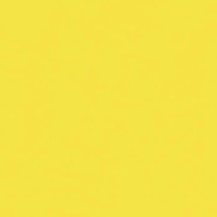 Lyazzat Alib, 01.05.1991