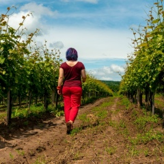 Елена Осадчая, 29.06, Кишинев