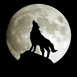 Сергей Жиглов, 08.11.1985, Хмельницкий