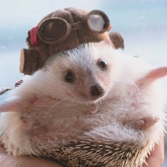 Юрий Васильев, 28.11.1988, Николаев