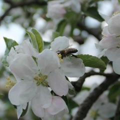 Ирина Шевчук, 29.08