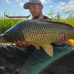 Кусаинов Азамат, Петропавловск
