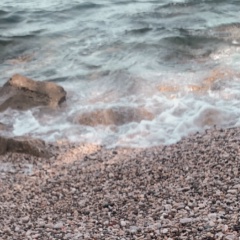 Эльмира А, 23.07