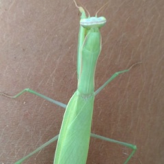 Владимир Жадаев, 16.04.1985, Саранск