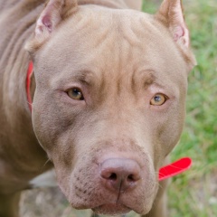 Анастасия Воронова, 19.08, Санкт-Петербург