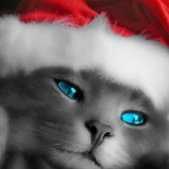 Каролина Кострыкина, 07.12.1999, Каскелен