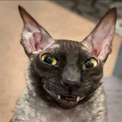 Андрей Тарасов, 27.03, Москва