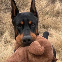 Бекнур Исмайл, 25.11, Алматы