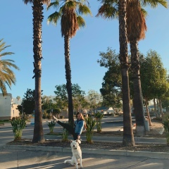 Zarina Tanasheva, 23.02, Los Angeles