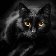 Ерема Тимофеев