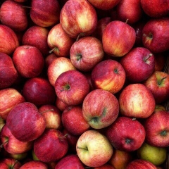 Ольга Витина