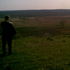 Александр Плотников