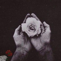 Салех Шихвеледов, 01.07.1901, Гусар