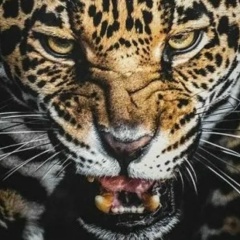 Галиб Гамзаев, 01.05, Москва