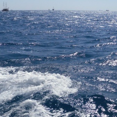 Ренат Эминов, 01.11.1984, Махачкала