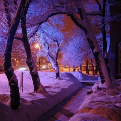 Тока Косай, 04.02.1982, Жанаозен