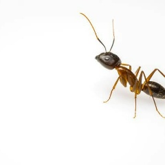 Кадыржан Абдуллин, 15.02, Алматы