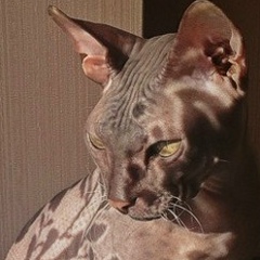 Филипп Писаренко, 11.04, Москва (деревня)